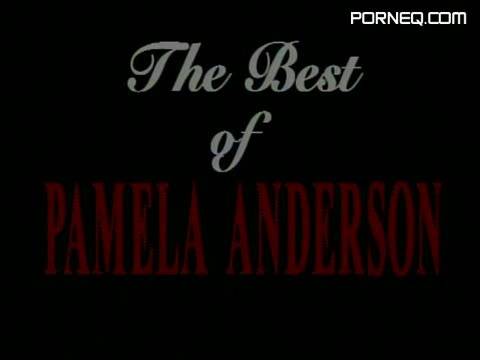 A Celebration Of Pamela Anderson - new.porneq.com on pornlista.com